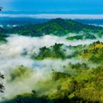 পাহাড়ি আদিবাসীদের গান