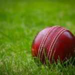 ক্রিকেট খেলা