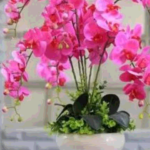 snapshot www.google.com 1647087031009